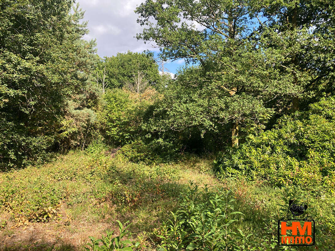Terrain à EYJEAUX