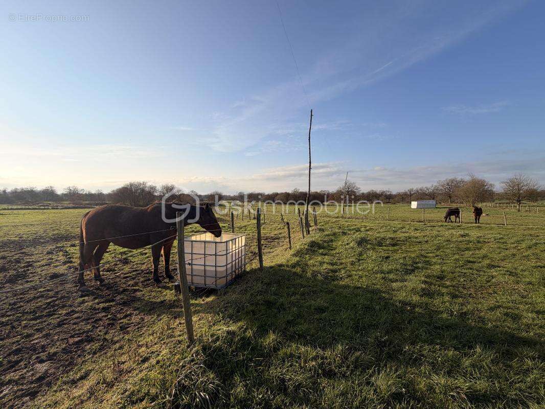 Maison à SAINT-PIERRE-LA-COUR