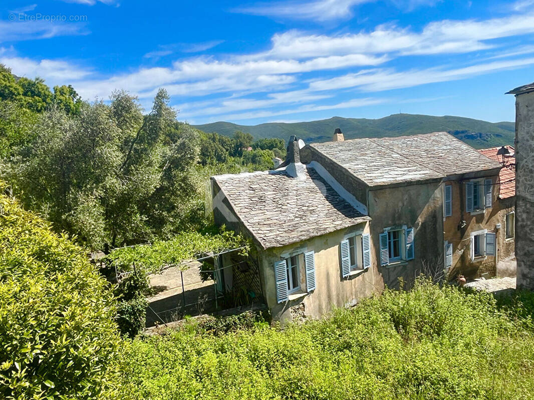 Maison à PIETRACORBARA