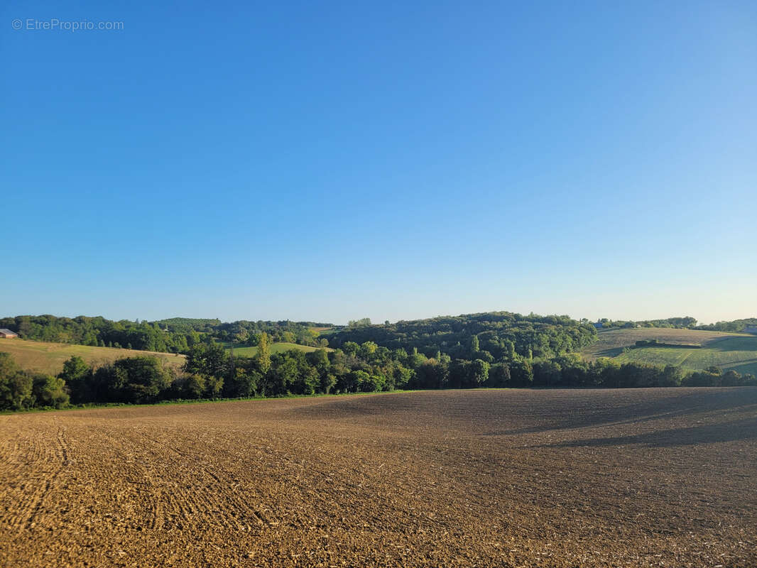 Maison à ESCASSEFORT