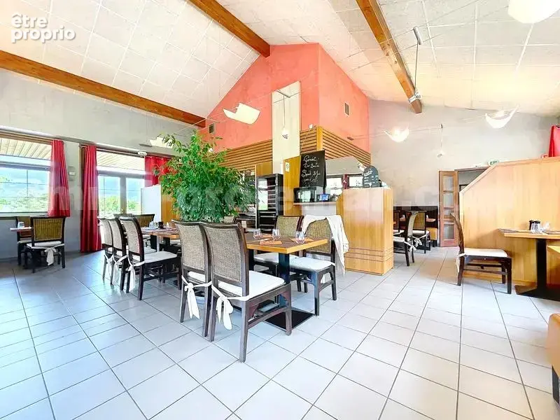 fond_commerce_brenthonne_brasserie_les_terrasses__restaurant_opportunité_suisse_genève_chamonix_annecy_mont-blanc_frontière_genève_rendement_cuisine_traditionnelle_française_appartement