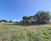 Terrain à GRAGNAGUE