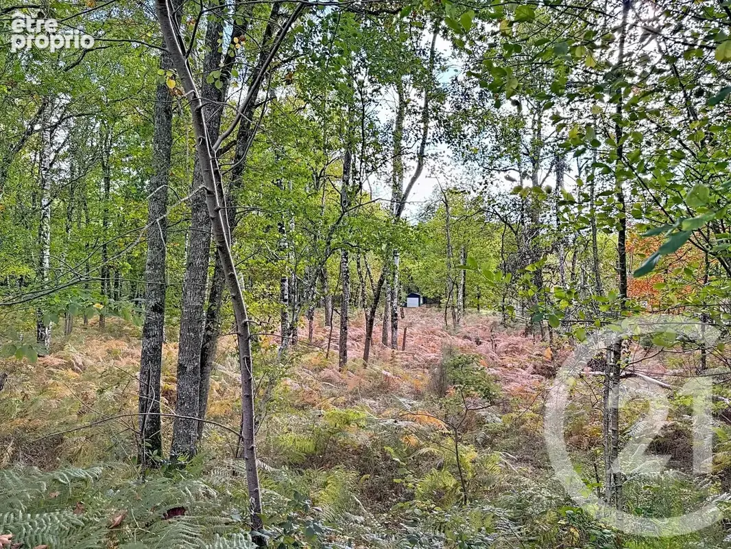 Maison 7 pièces 257 m² à vendre à La Ferte-Saint-Aubin (45240) - photo 20