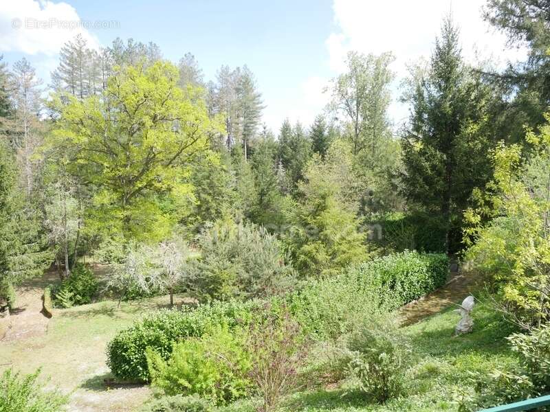 Propriete de charme - photo 13