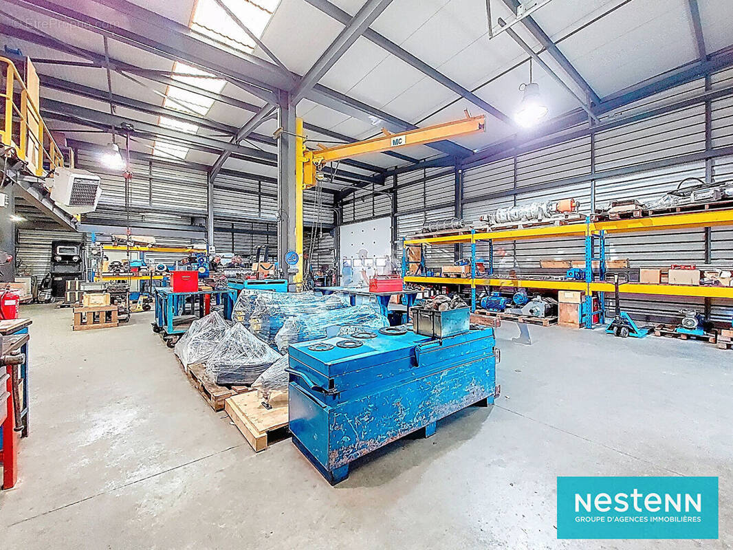 Commerce à SAINT-MITRE-LES-REMPARTS