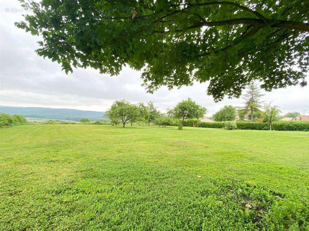 Vous bénéficiez d'une façade de 43 mètres - Terrain à MONTHENAULT