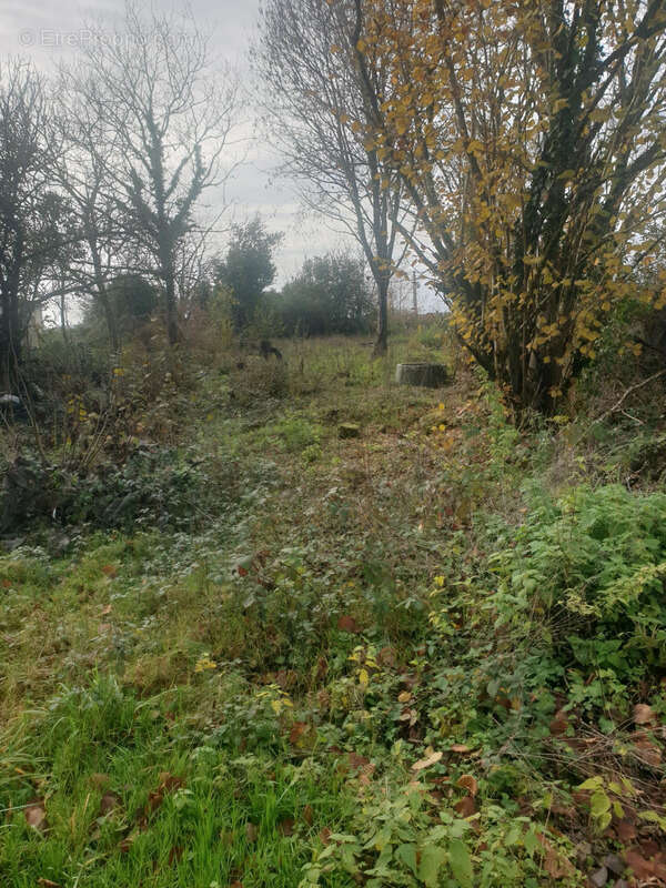 Maison à SAINT-BONNET