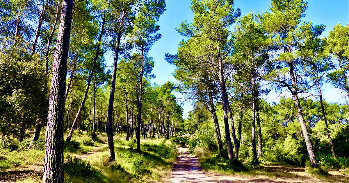 Terrain à EYGUIERES