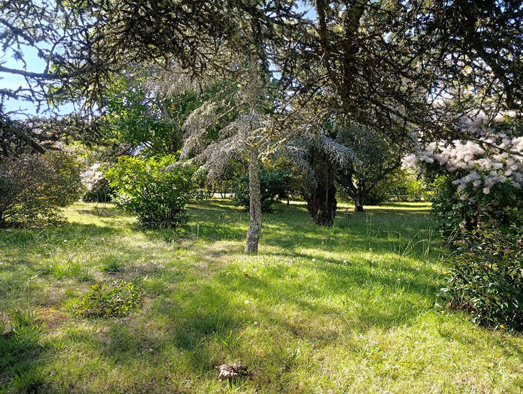 Terrain à VIELLE-SAINT-GIRONS