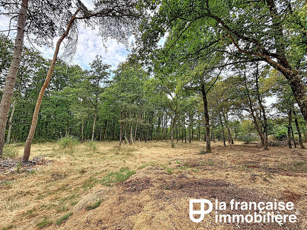 A vendre -Maison rénovée -5 chambres - terrain arboré d'environ 1 hectare - sous-sol complet - photo 16