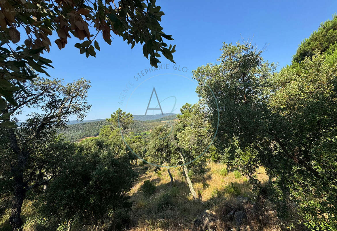 GRIMAUD - Terrain de 2 523 m² en Zone UCb du PLU - photo 2