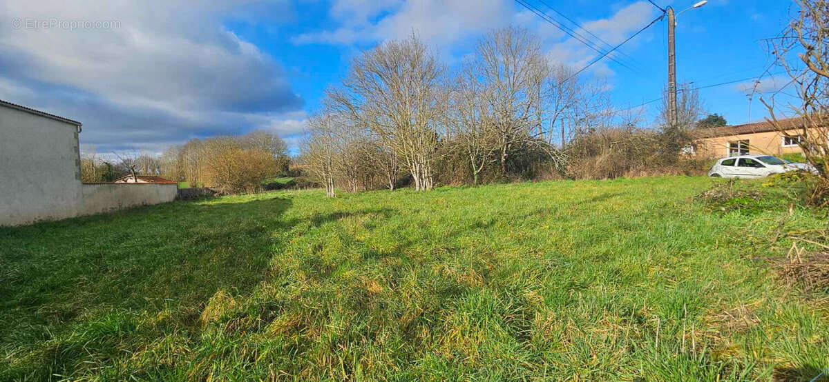 Terrain à AZAY-LE-BRULE