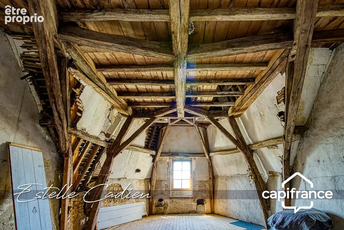 Propriété d’exception  – Château XIXe à CHANTONNAY (85) - photo 23
