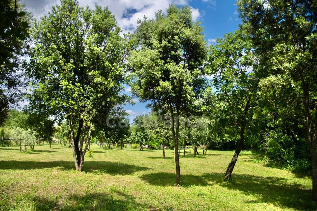 Entre Uzès et La Roque-sur-Cèze, Éden Provençal : Mas du XVIIIe & Son Domaine Privé sur 3,3 hectares - photo 5