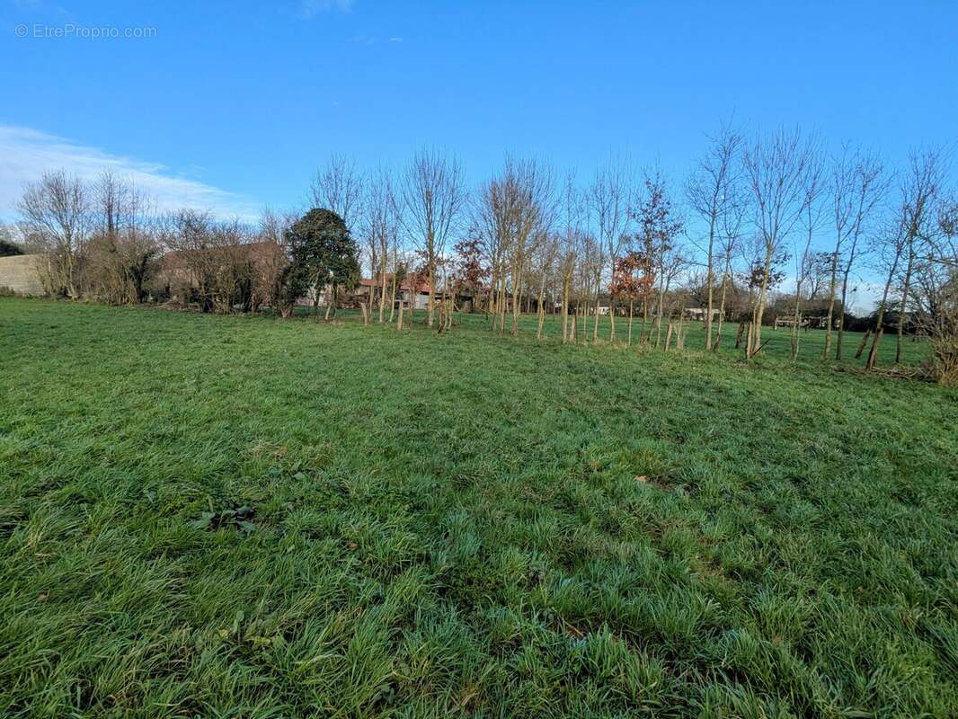 Terrain à SAINT-RIQUIER