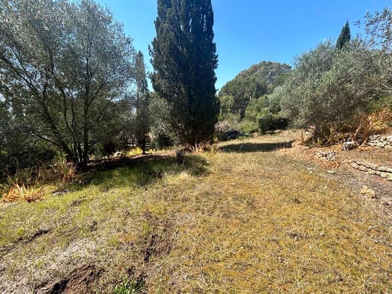 Maison à LES ISSAMBRES