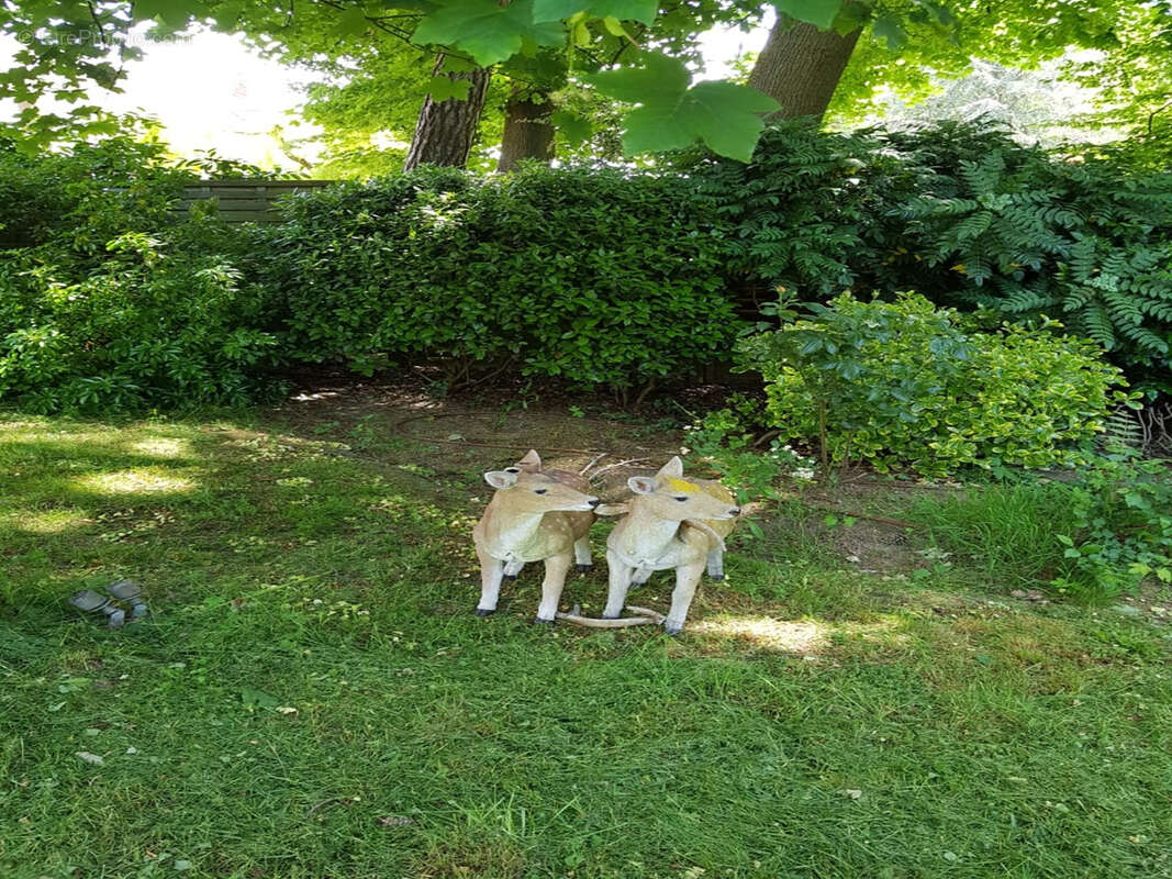 Maison à NEUVILLE-SUR-OISE