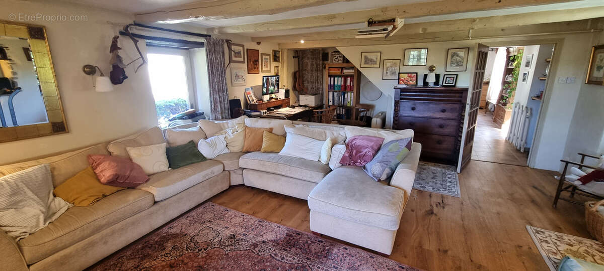 Nouveauté à la vente ! - photo 5