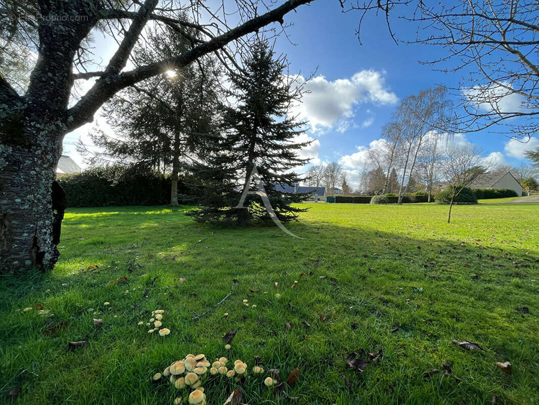 Terrain à SAINT-GEORGES-BUTTAVENT