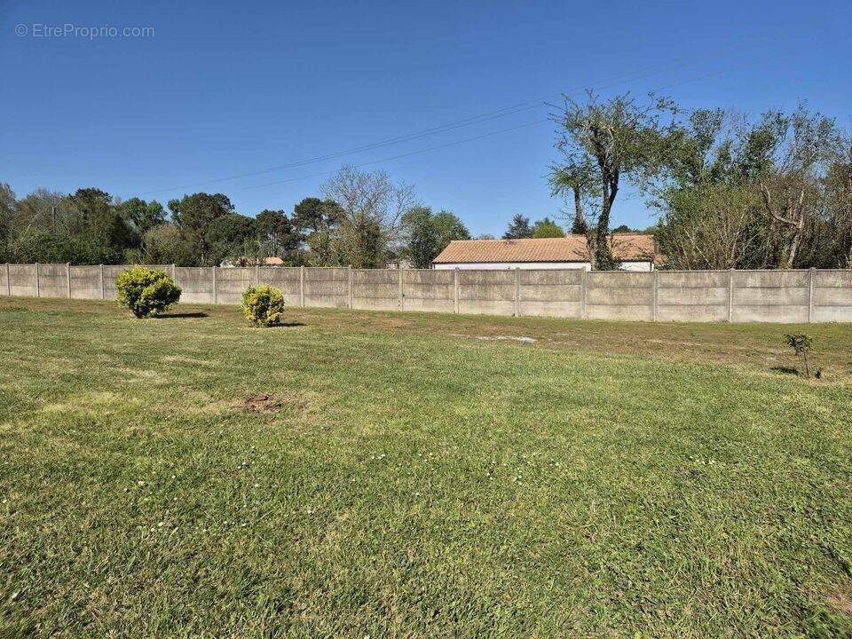 Terrain à SAINT-SAUVEUR