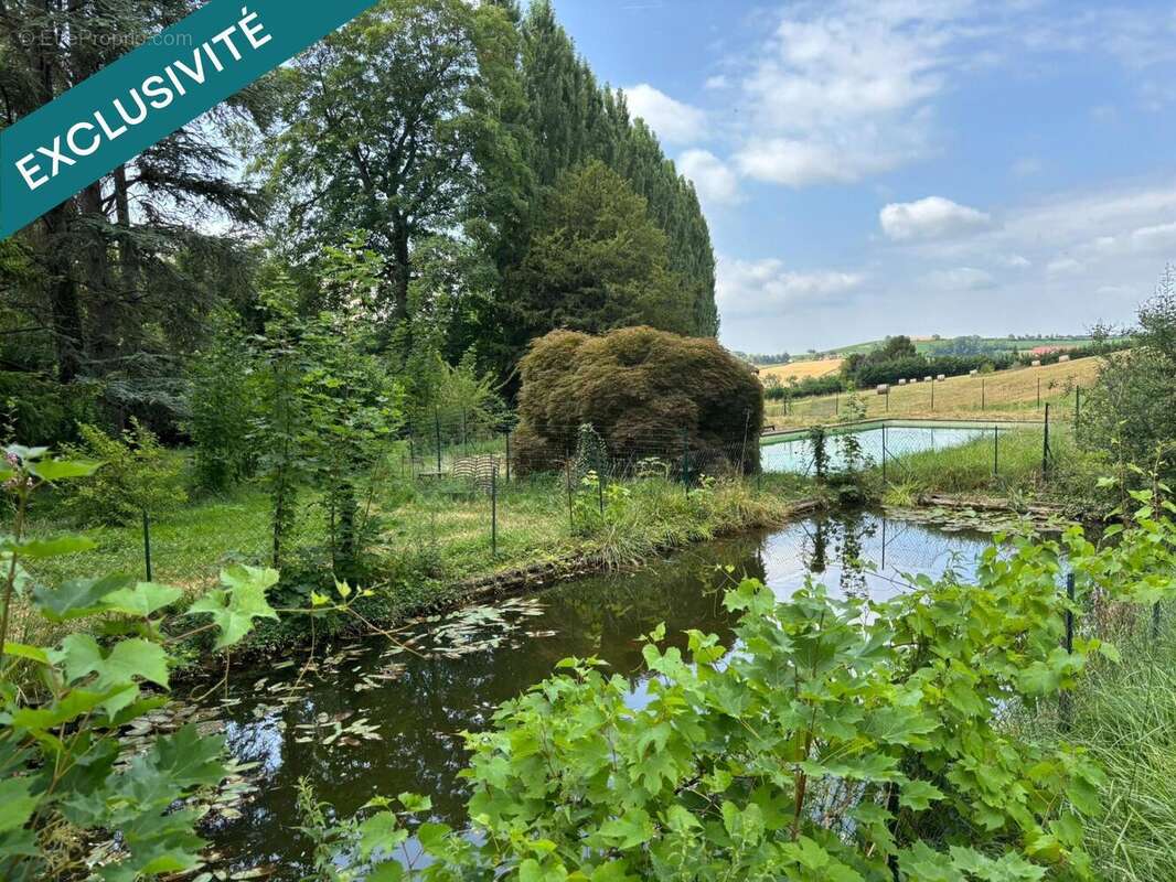 Photo 7 - Maison à SAINT-GERAND-LE-PUY