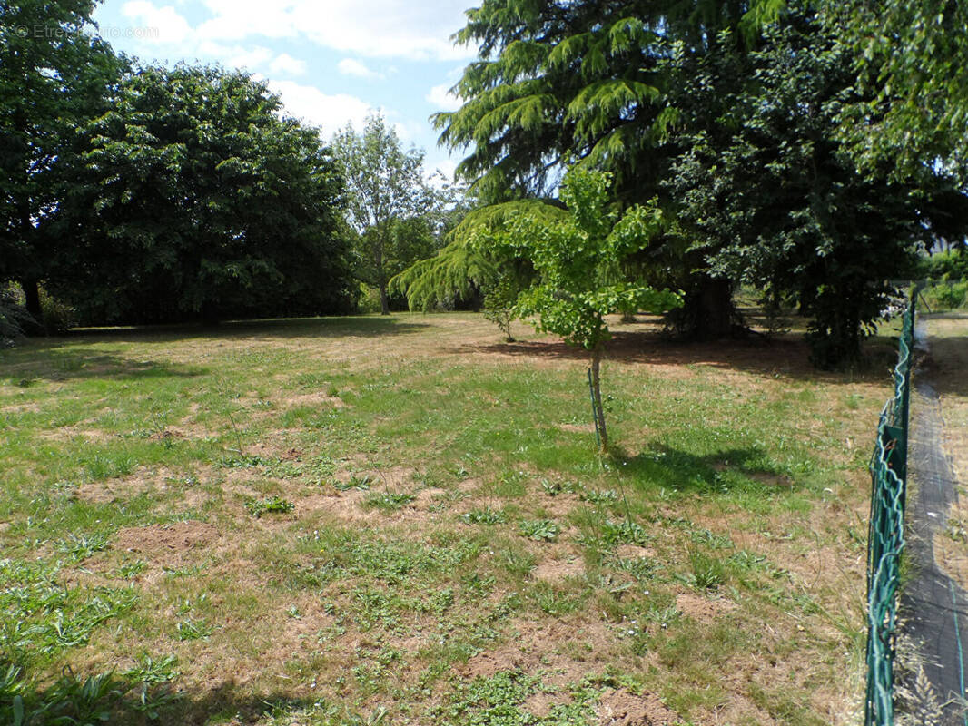 Terrain à LA MILESSE