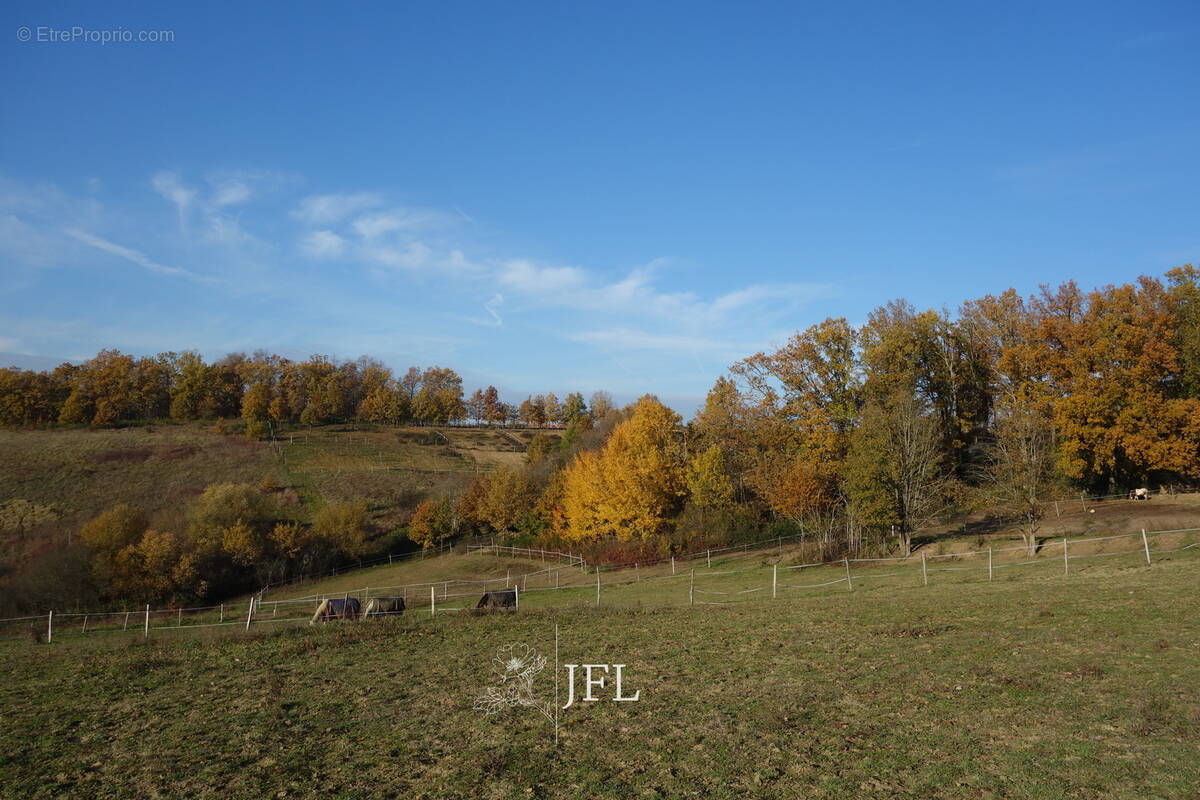 n°1 - Terrain à MOISSAC
