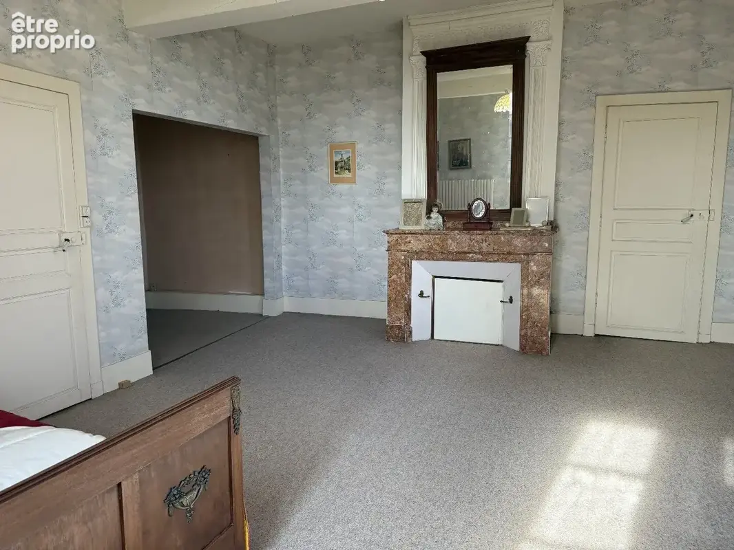 Maison d'époque avec maison d'amis et grand parc. - photo 15