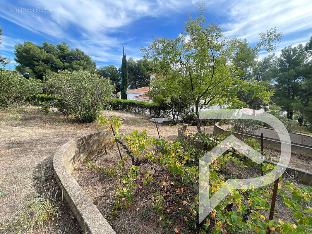Maison à MURVIEL-LES-BEZIERS