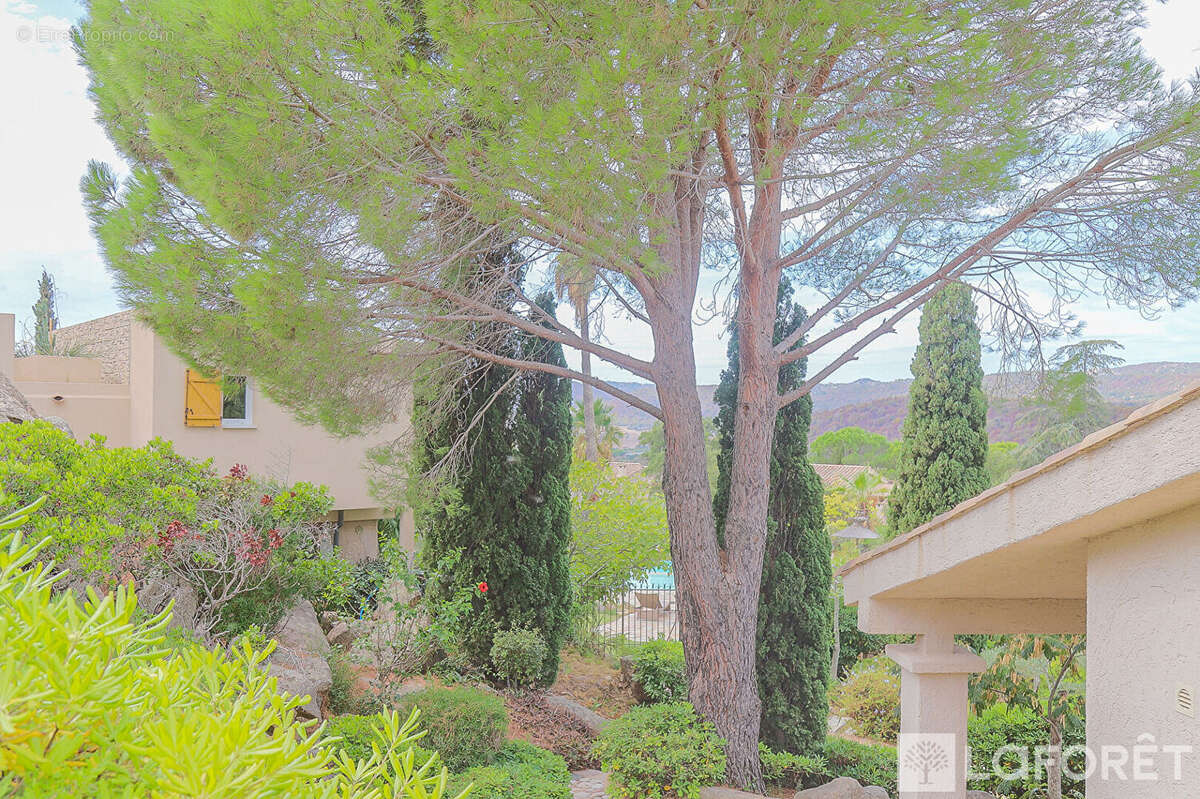 Maison à PORTO-VECCHIO