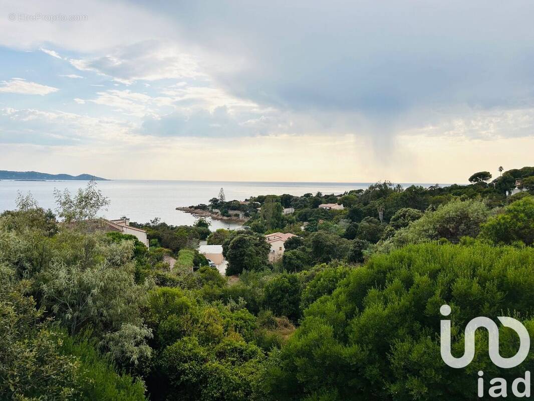 Photo 1 - Maison à PIETROSELLA