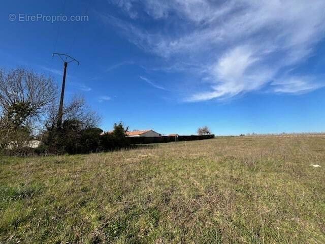 Terrain à BOUTIERS-SAINT-TROJAN