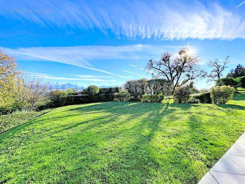 MAISON_INDIVIDUELLE_FILLINGE_5_PIECES_RARE_FRONTIERE_SUISSE_GENEVE_TRAM_CEVA_BUS_TRANSPORT_SUPERBE_BEAUX_VOLUMES_STANDING_CUISINE-AMÉRICAINE_SEJOUR_ENTREE_chambre_-AMÉRICAINE_SEJOUR_ENTREE_CHAMBRE_DEGAGEMENT_SALLE_DE_BAINS_EXTERIEUR_PISCINE_TERRAIN_ - Maison à FILLINGES