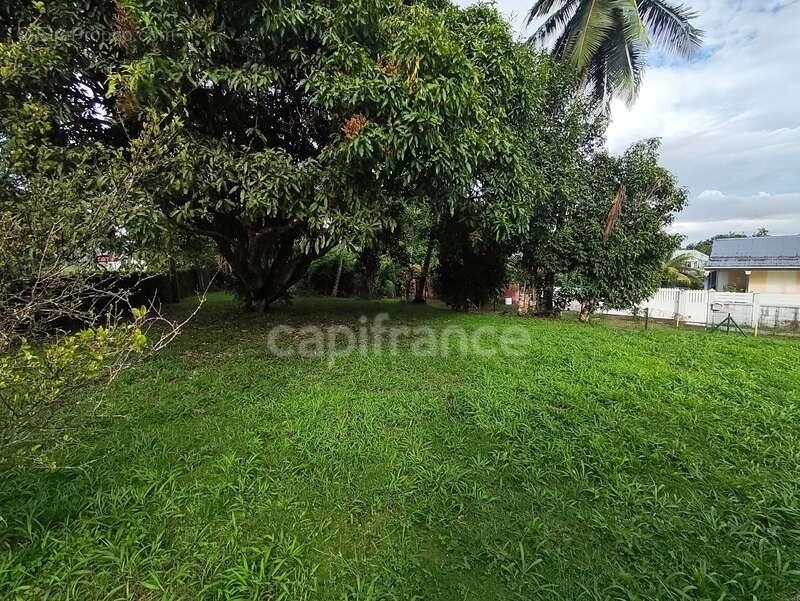 Maison à SAINTE-ROSE