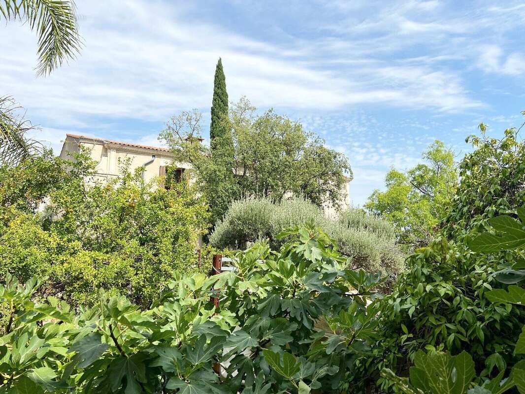 Photo 7 - Maison à SERVIAN