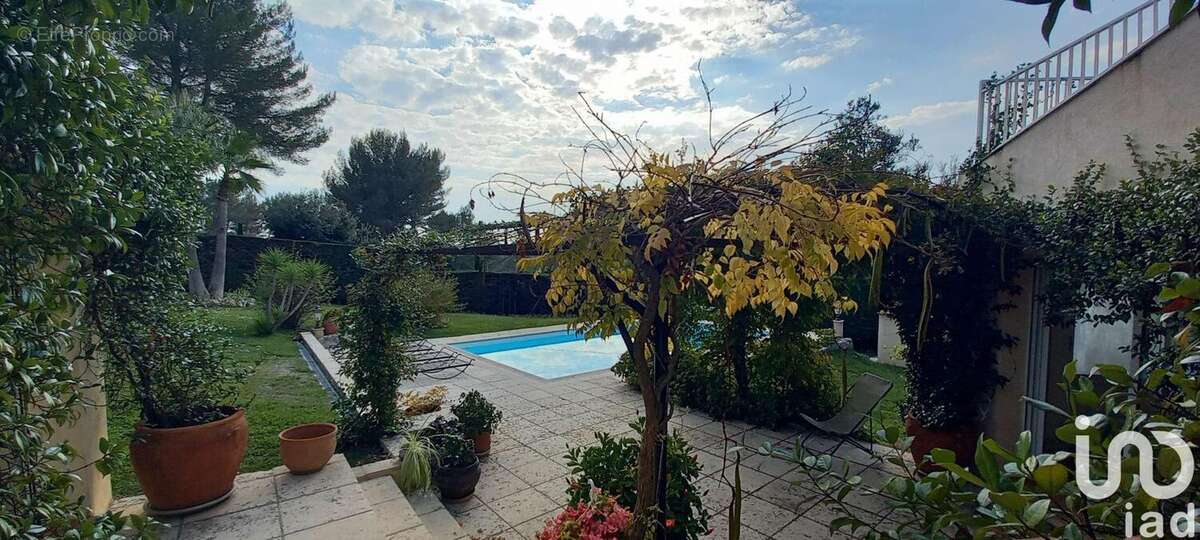 Photo 6 - Maison à ROQUEFORT-LES-PINS