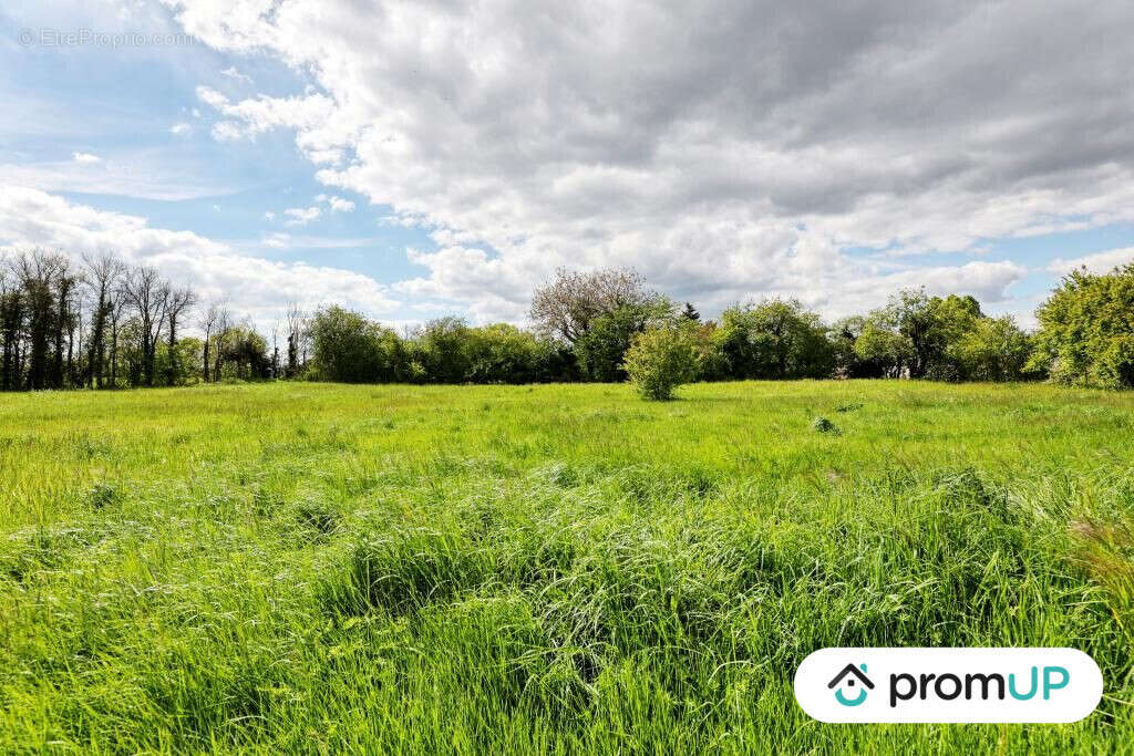 Terrain à NOHANT-EN-GOUT