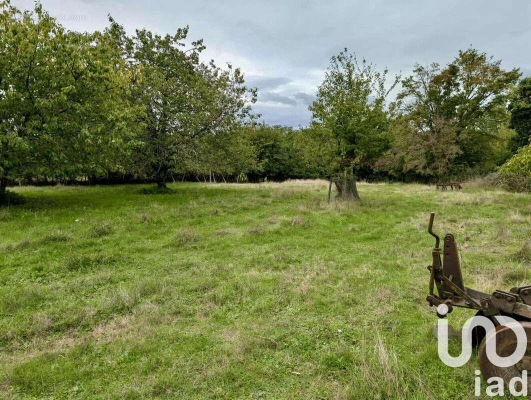 Photo 9 - Maison à CHATEAUNEUF-SUR-CHARENTE
