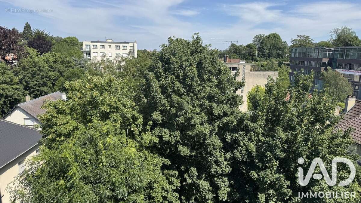 Photo 3 - Appartement à SEVRES