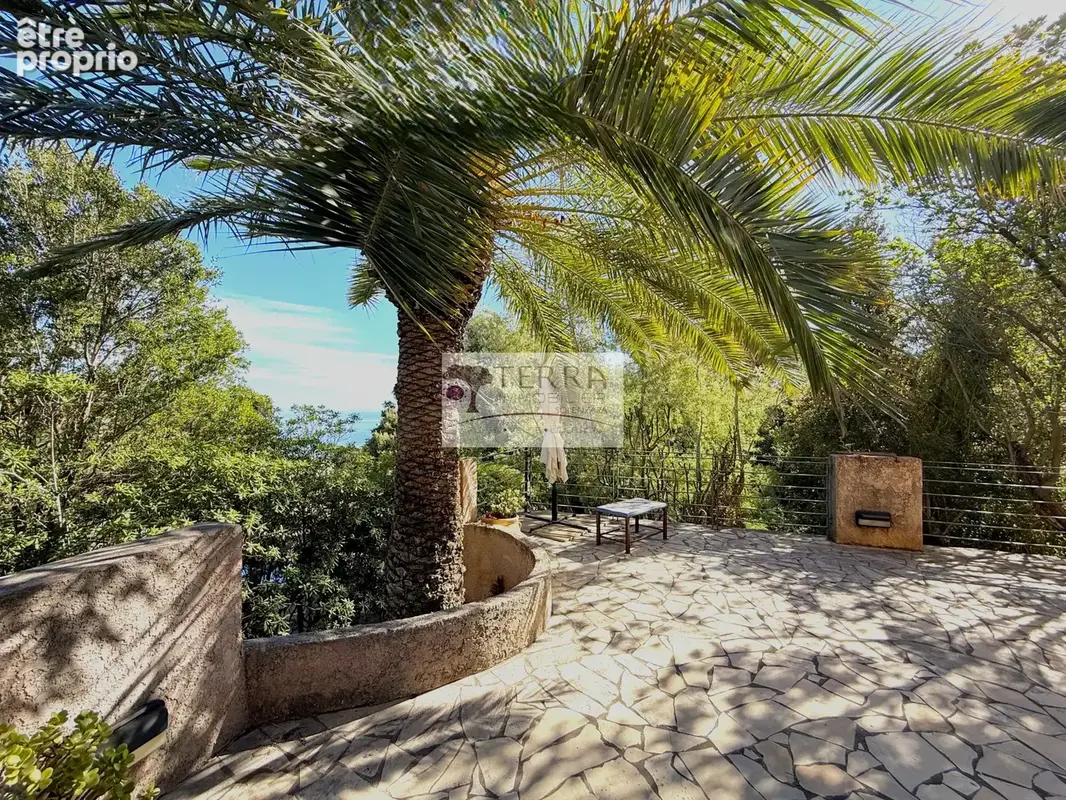 Maison F7/F8 de 217 m2 sur 2.060 m2 de terrain 20145 SOLENZARZA - photo 5