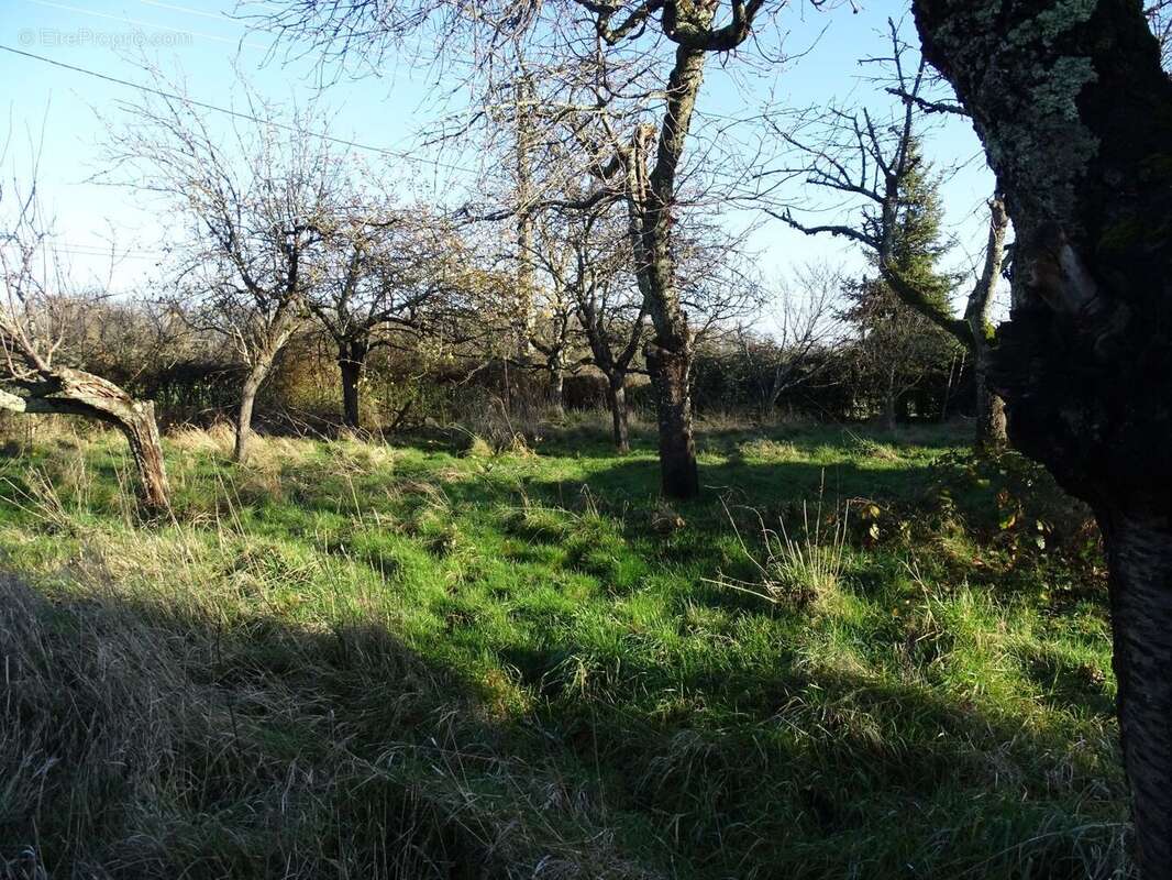 Maison à SAINT-CHRISTOPHE-EN-BOUCHERIE