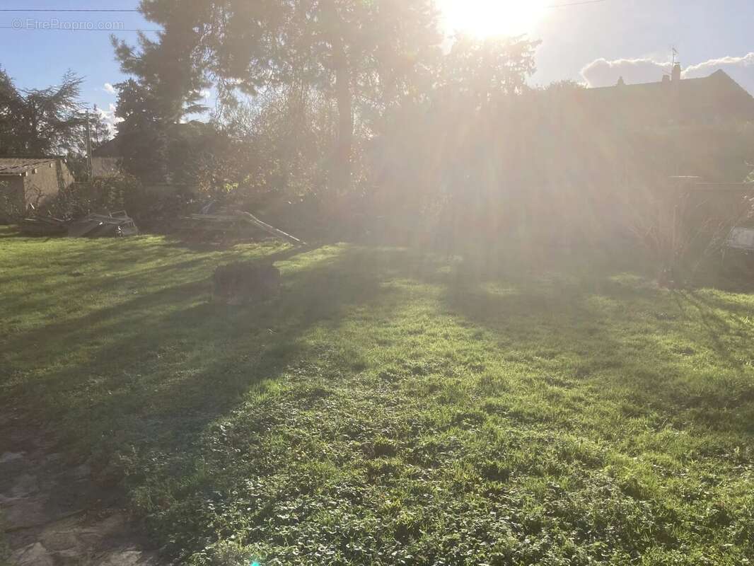 Terrain à MITTAINVILLE