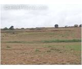 Photo 1 - Terrain à SAINTE-VALIERE