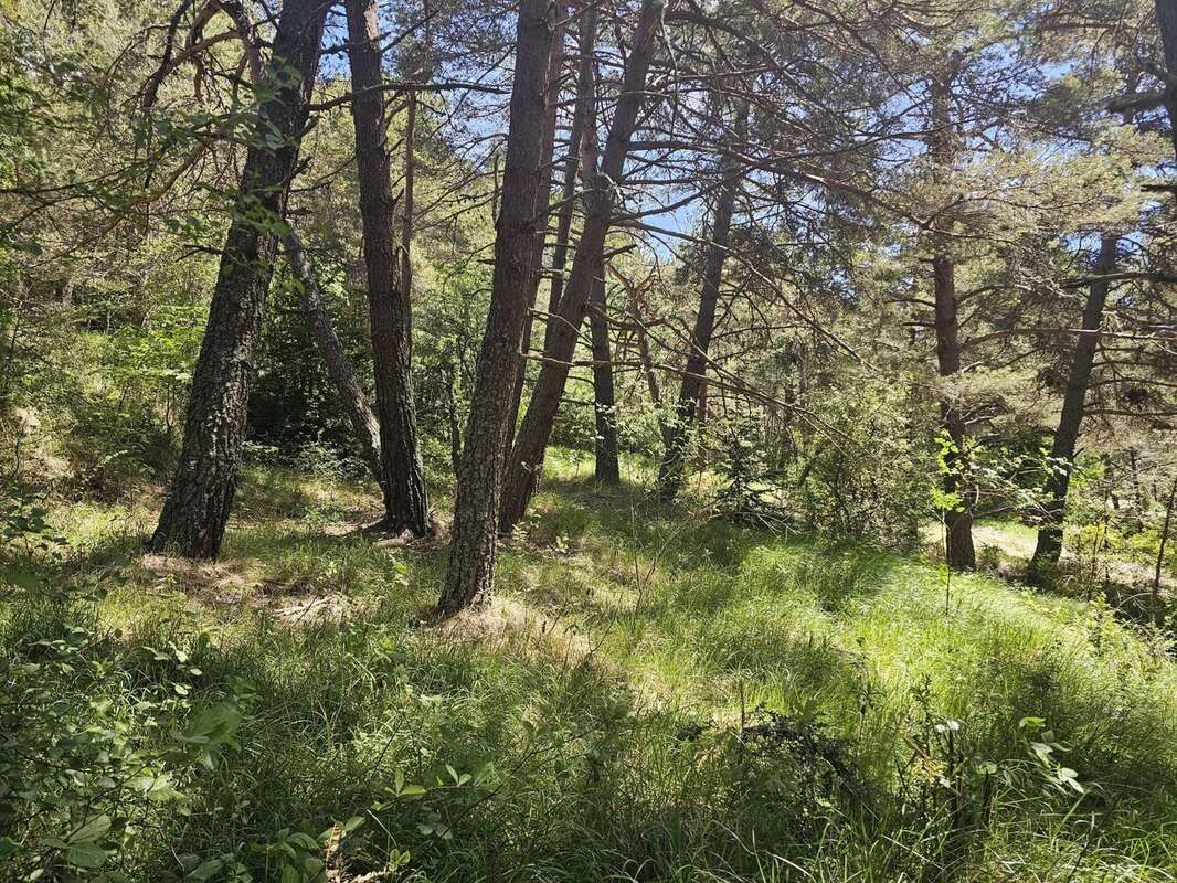 Terrain à CAILLE