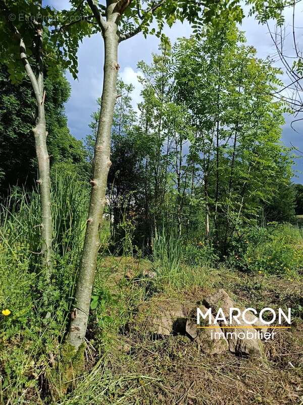 A 15 min de GUERET, grange avec terrain - photo 23