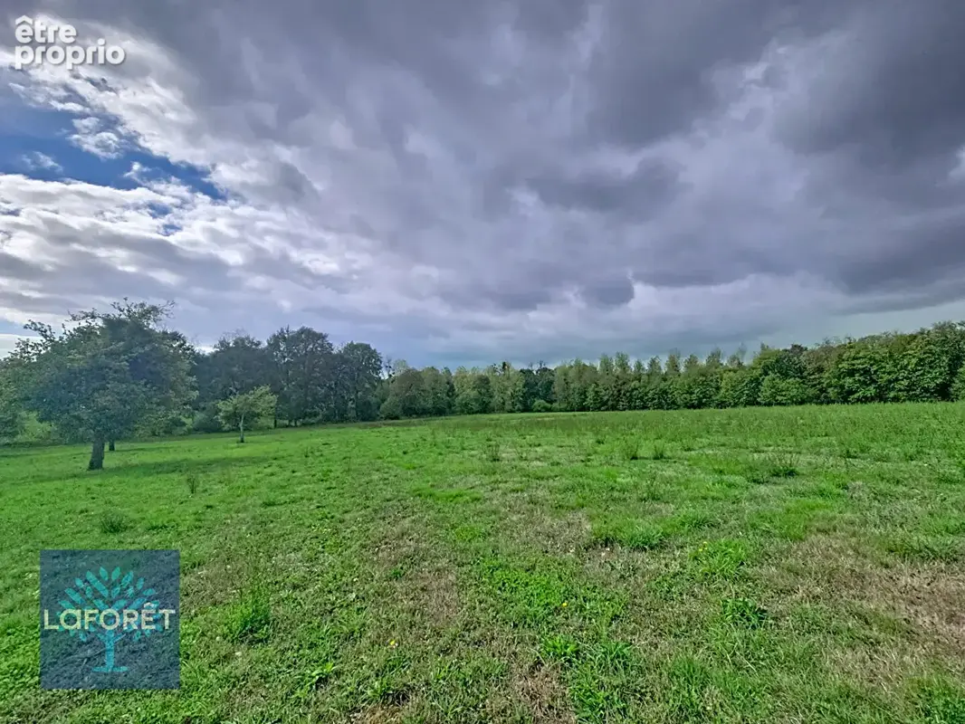 Batîsses à rénover, à 5 min de Saint Brice en Coglès, plus de 4 hectares - photo 12
