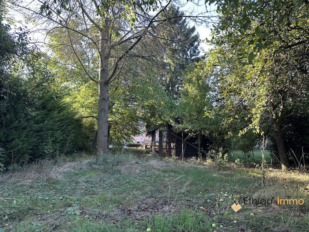 Terrain à NEUGARTHEIM-ITTLENHEIM