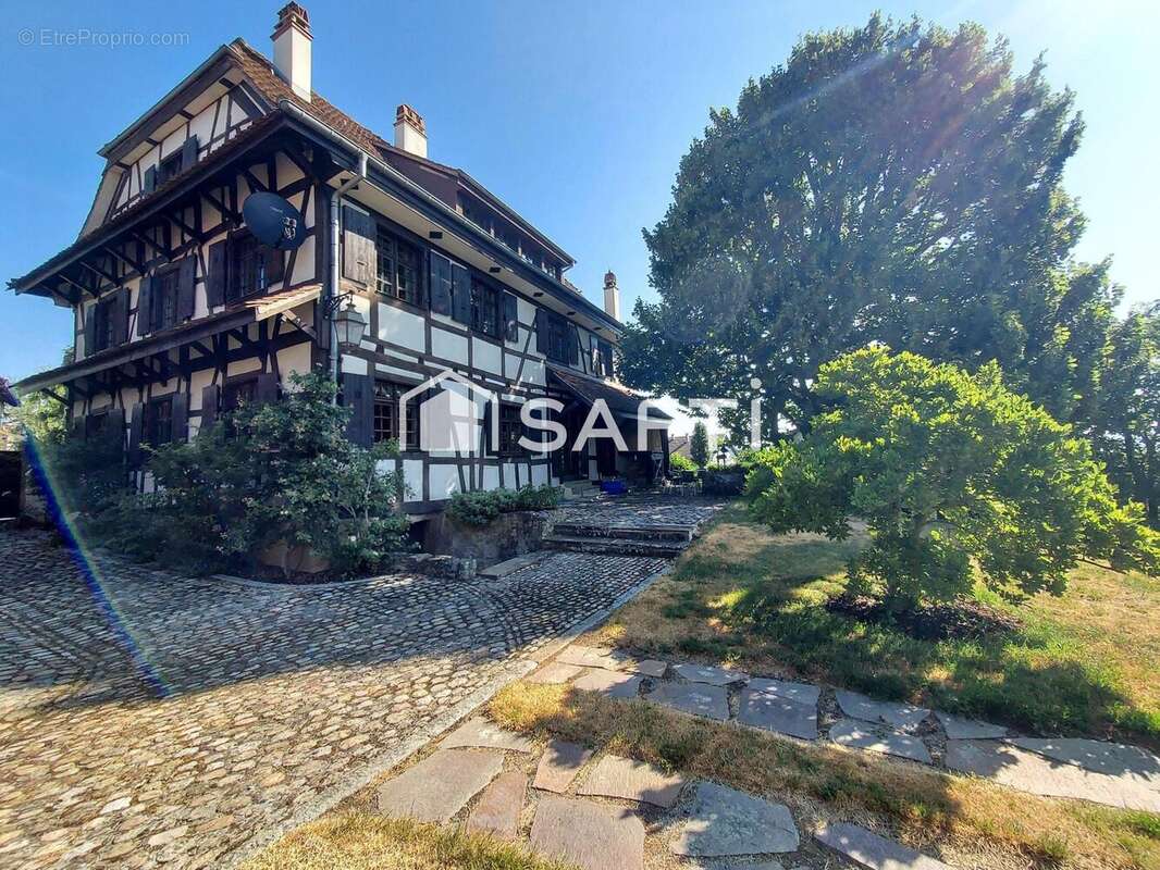 Maison 325 m² à Folgensbourg  - photo 4