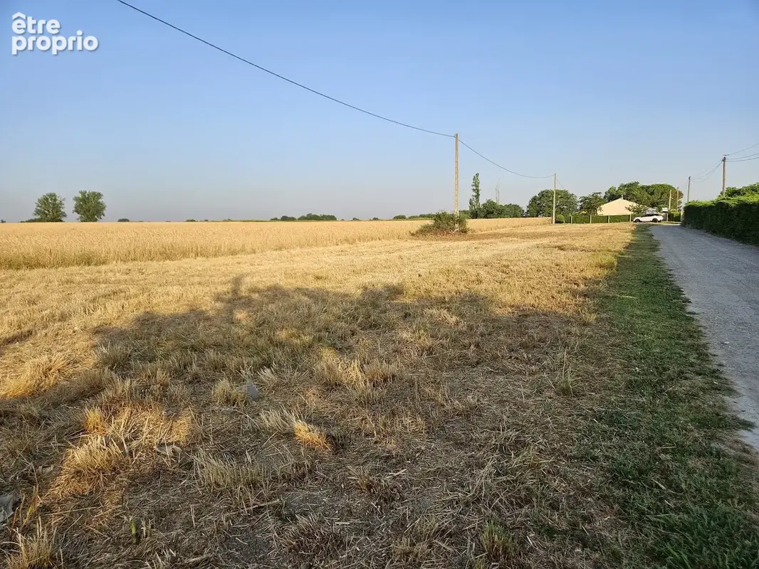 Seysses terrain constructible - photo 4