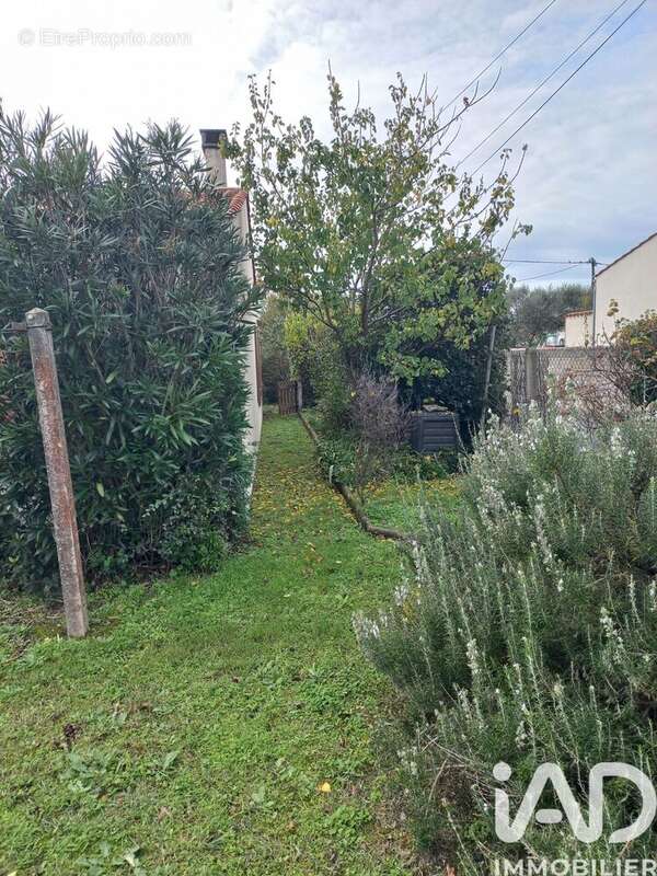 Photo 5 - Maison à SAINT-GEORGES-D'OLERON